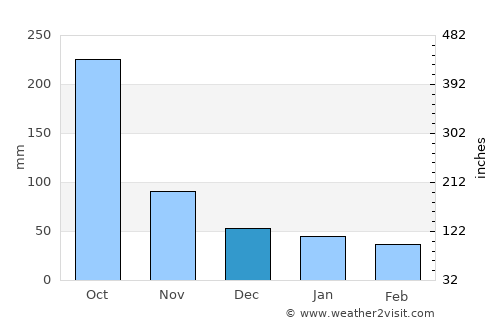 Pachalum average rain in December