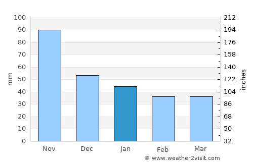 Pachalum average rain in January