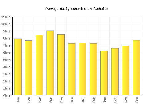 Pachalum average daily sunshine chart
