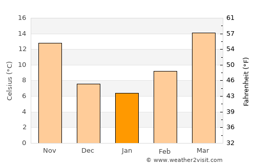 Paint Rock average temperature in January