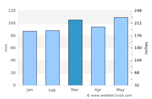 Paintsville average rain in March