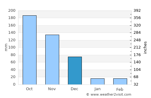 Pālamedu average rain in December