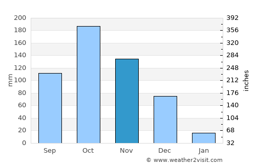 Pālamedu average rain in November