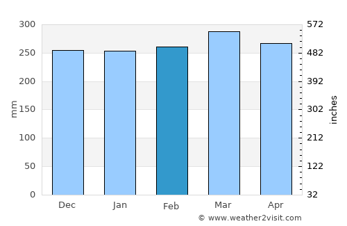 Palangkaraya average rain in February