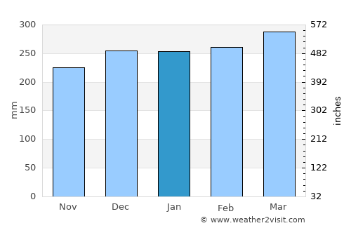 Palangkaraya average rain in January