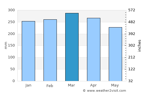 Palangkaraya average rain in March