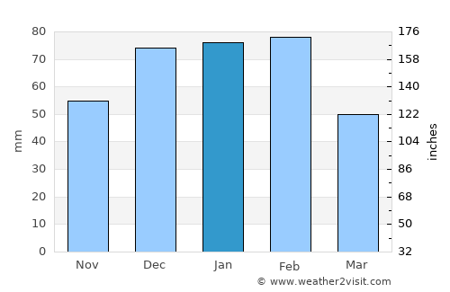Palapye average rain in January