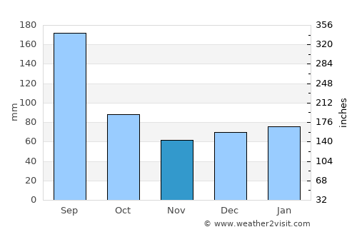 Palatka average rain in November