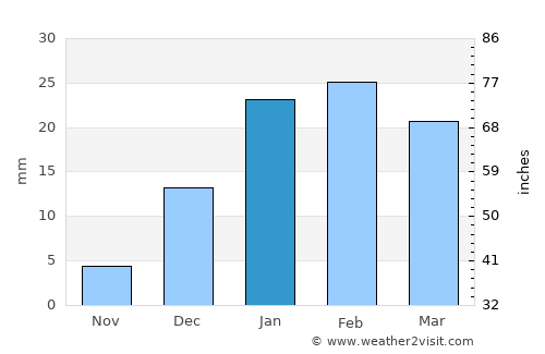 Paliā Kalān average rain in January