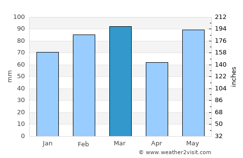 Palm Coast average rain in March