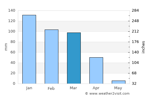 Palmas de Monte Alto average rain in March