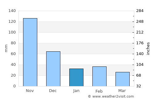 Palmas average rain in January