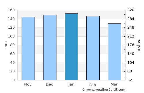 Palmeira das Missões average rain in January