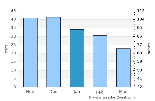 Palmer average rain in January