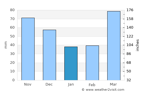 Palmyra average rain in January