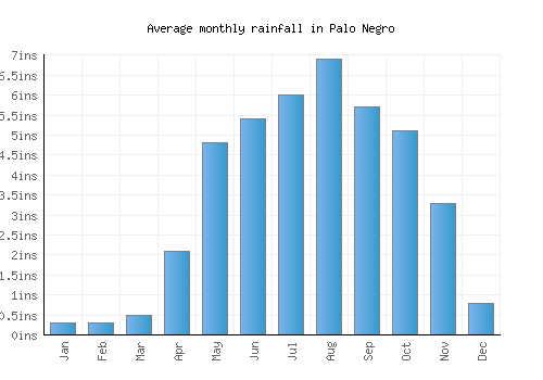 Palo Negro monthly rainfall chart (inches)