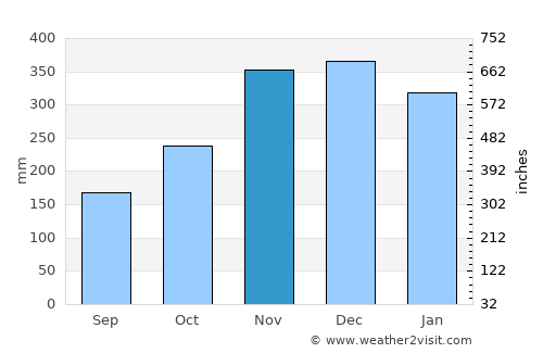 Palo average rain in November