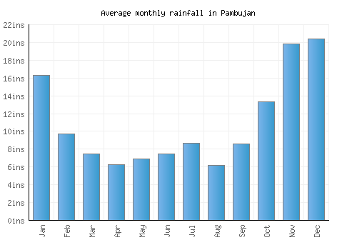 Pambujan monthly rainfall chart (inches)