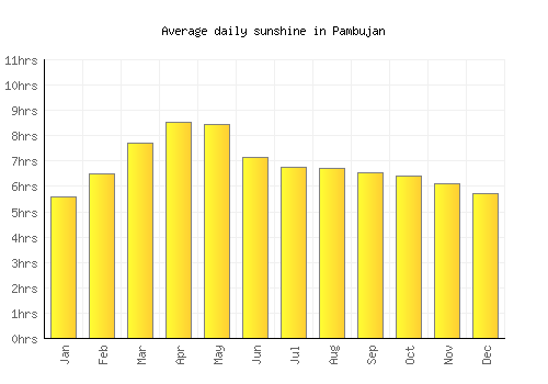 Pambujan average daily sunshine chart