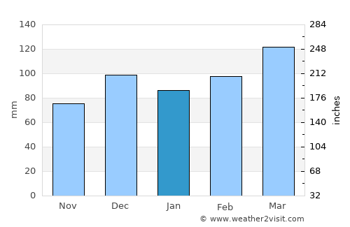 Panama City average rain in January