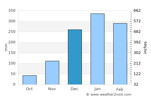 Panarukan average rain in December