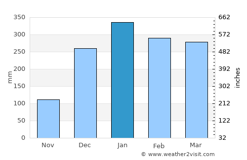 Panarukan average rain in January