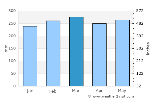 Pangkalanbuun average rain in March
