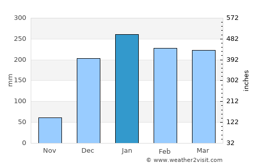 Panji average rain in January