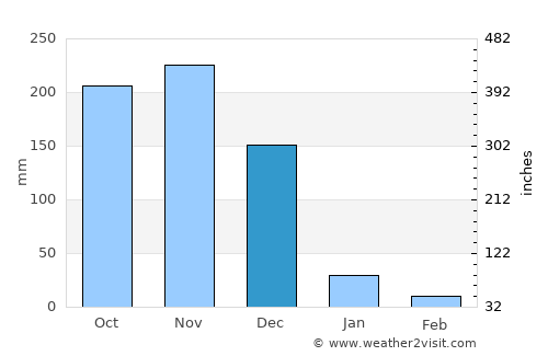 Papanasam average rain in December