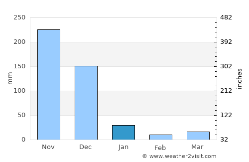 Papanasam average rain in January