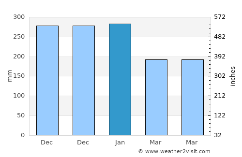 Paraíba do Sul average rain in January