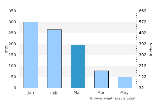 Paraisópolis average rain in March