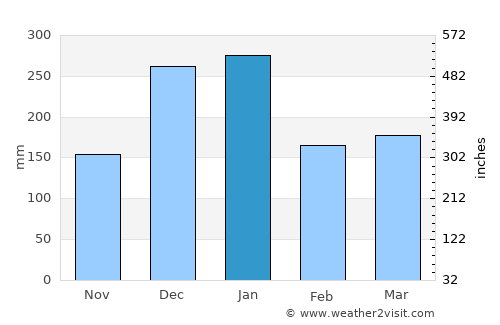 Paranaíba average rain in January