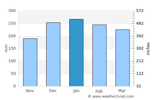 Parati average rain in January