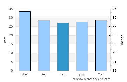 Parava average rain in January