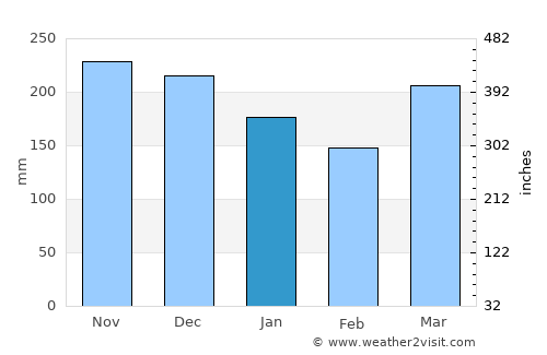 Parit Raja average rain in January