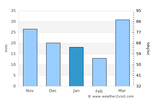Park Rapids average rain in January