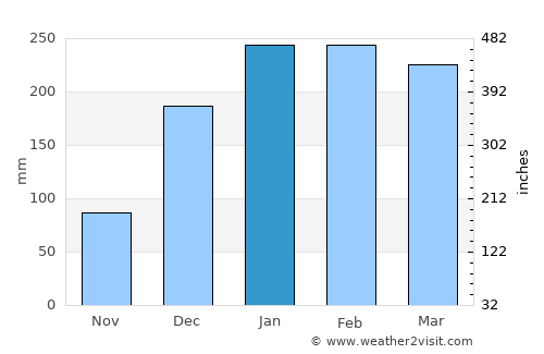 Pasuruan average rain in January