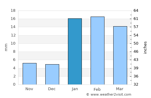 patamda average rain in January