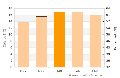 Patea average temperature in January