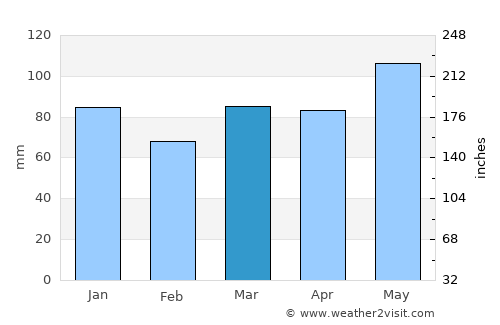 Patea average rain in March