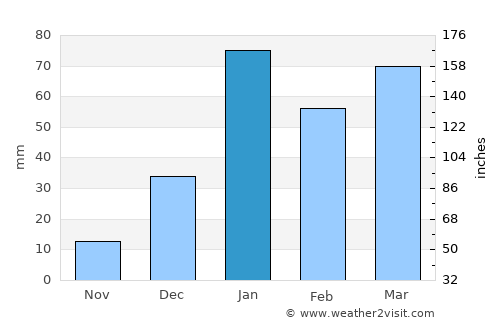 Pathankot average rain in January