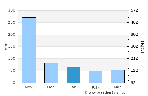 Pathio average rain in January