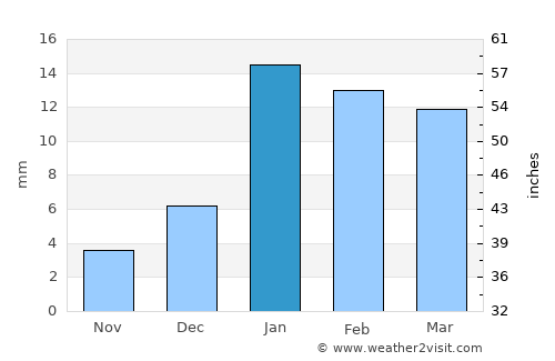 Patiāli average rain in January