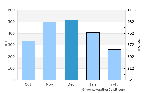 Patong average rain in December