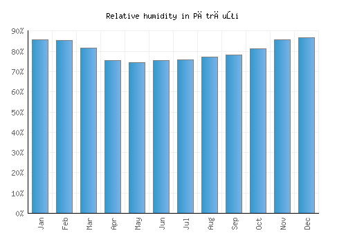 Pătrăuţi relative humidity averages