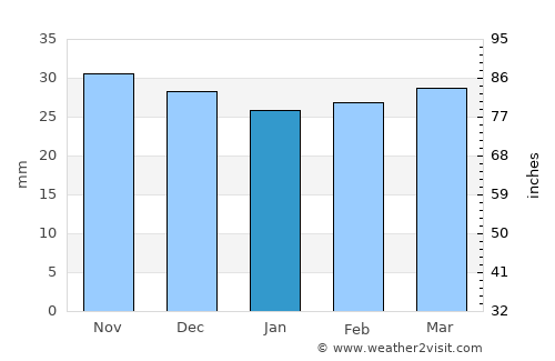Pătrăuţi average rain in January