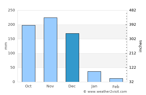 Pattukkottai average rain in December