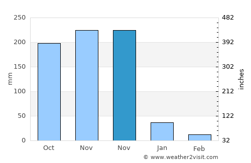 Pattukkottai average rain in November