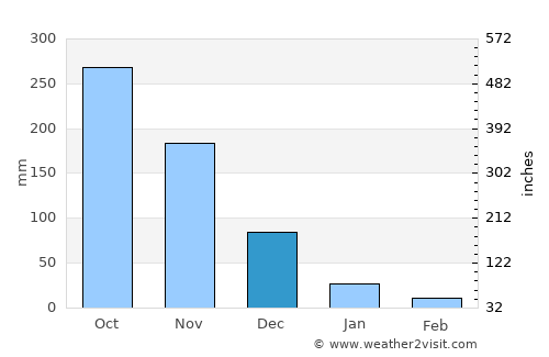 Patuto average rain in December